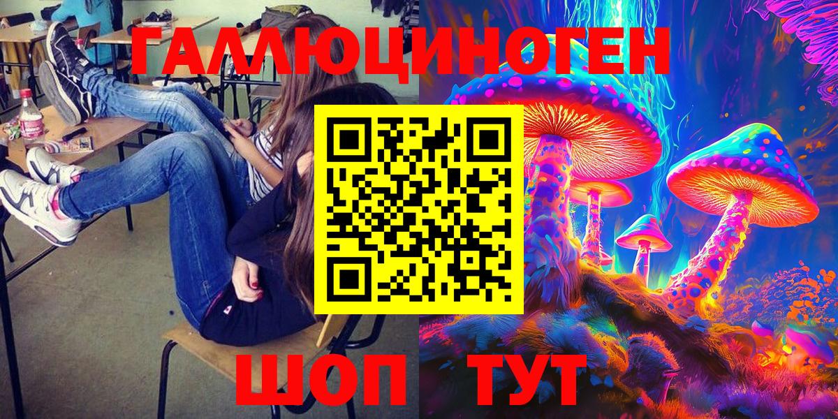 Холмск  Галлюциногенные грибы Psilocybe  Вход с VPN 